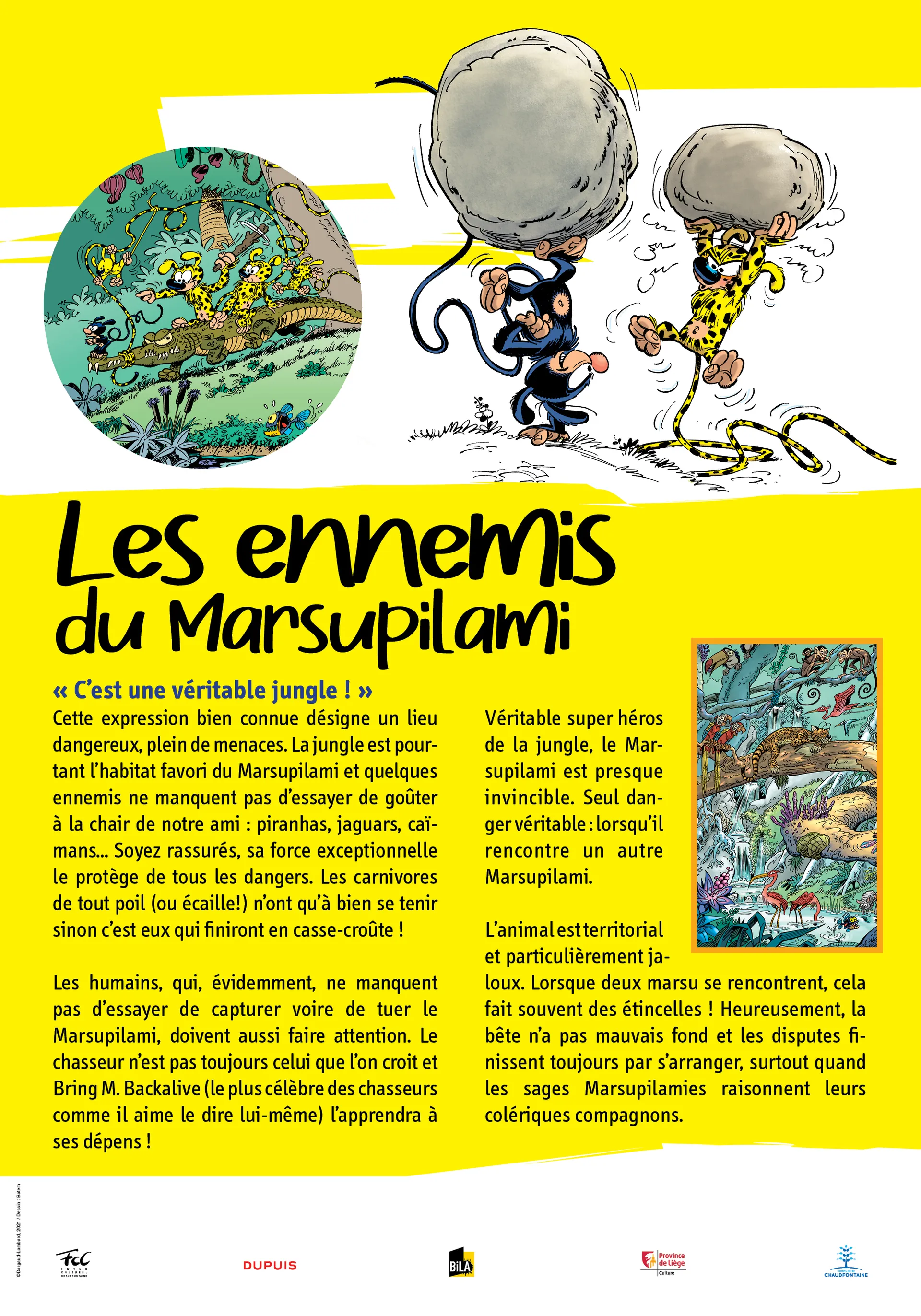 Marsupilami : sur les traces du Marsu