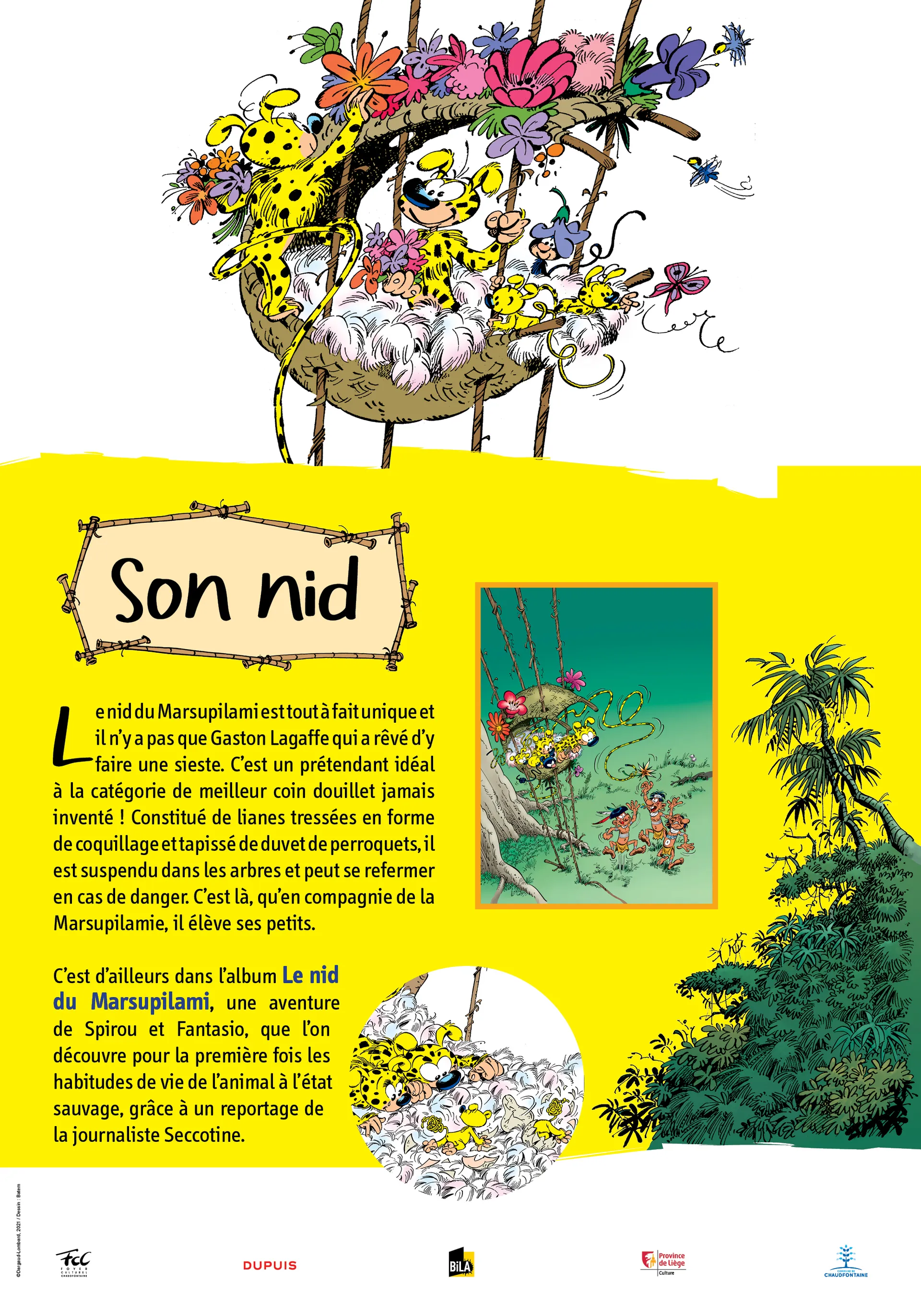 Marsupilami : sur les traces du Marsu